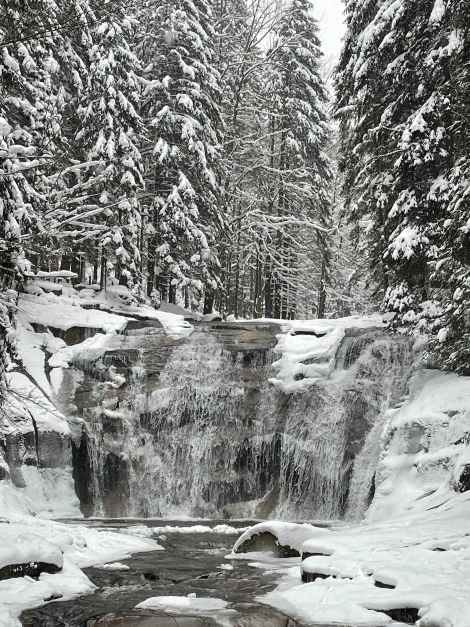 Spirit Harrachov Superior Wellness Apartments - Free Wellness, Wifi, Parking, Harrachov Card المظهر الخارجي الصورة