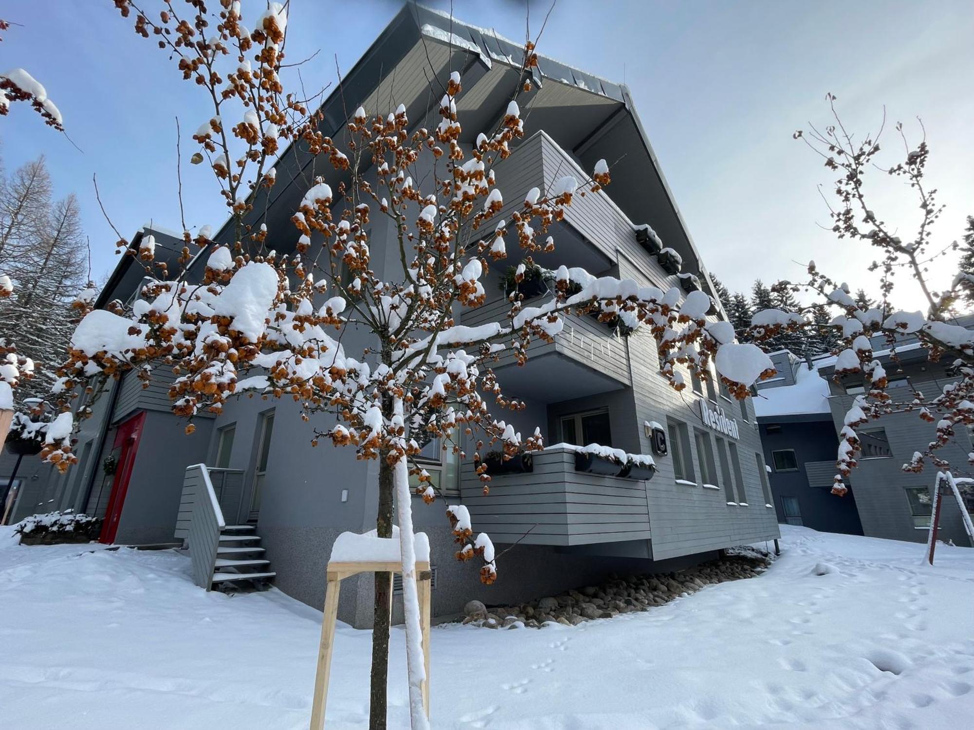 Spirit Harrachov Superior Wellness Apartments - Free Wellness, Wifi, Parking, Harrachov Card المظهر الخارجي الصورة